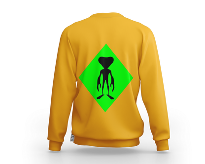 Sweatshirt - Ben 10 Widdle Guy